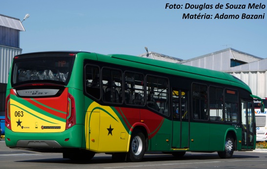Dos 295 ônibus que serão exportados, 245 são do modelo Viale